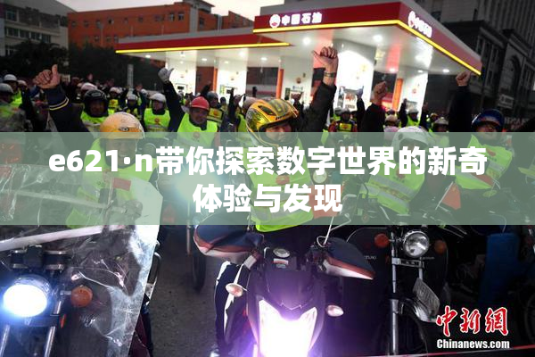 e621·n带你探索数字世界的新奇体验与发现