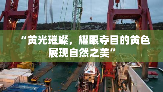 “黄光璀璨，耀眼夺目的黄色展现自然之美”
