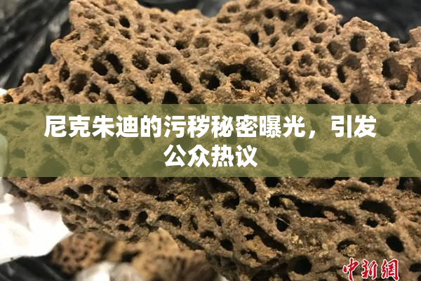 尼克朱迪的污秽秘密曝光，引发公众热议
