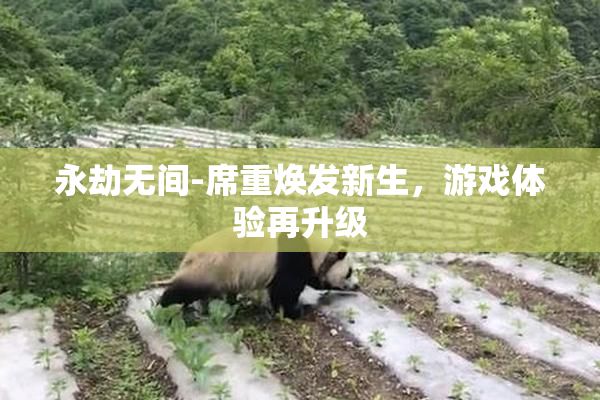 永劫无间-席重焕发新生，游戏体验再升级
