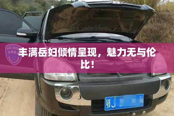 丰满岳妇倾情呈现，魅力无与伦比！