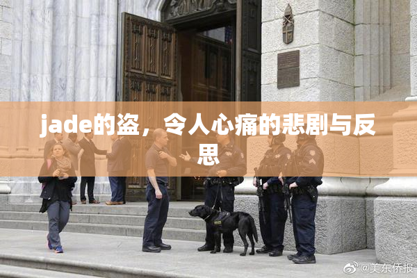 jade的盗，令人心痛的悲剧与反思