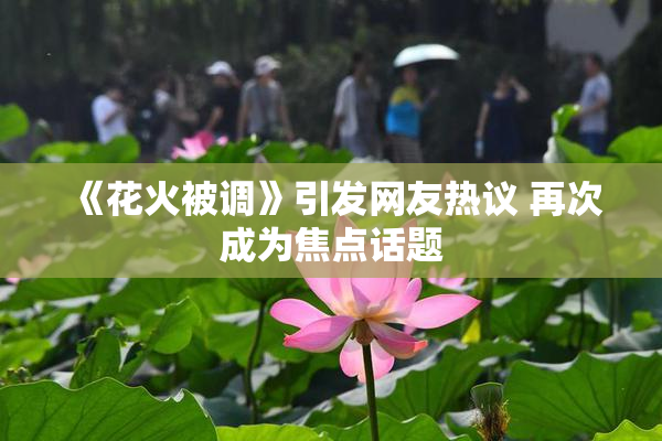 《花火被调》引发网友热议 再次成为焦点话题