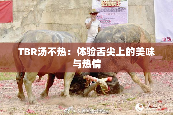 TBR汤不热：体验舌尖上的美味与热情