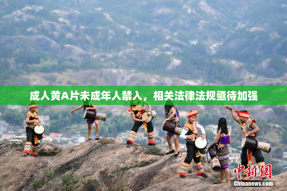 成人黄A片未成年人禁入，相关法律法规亟待加强