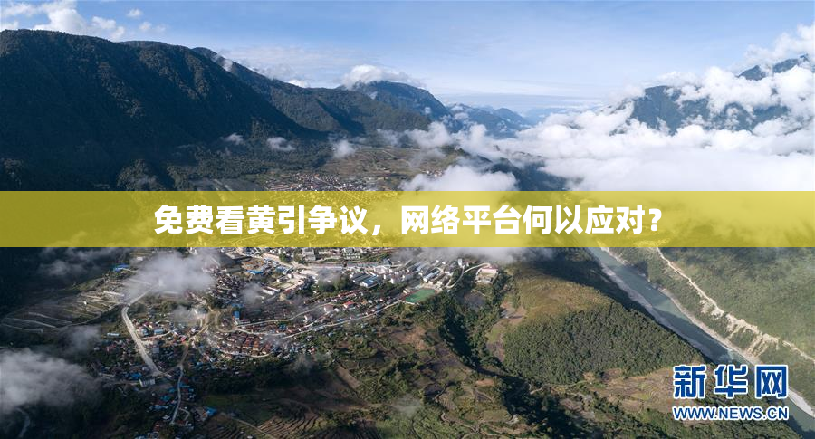 免费看黄引争议，网络平台何以应对？