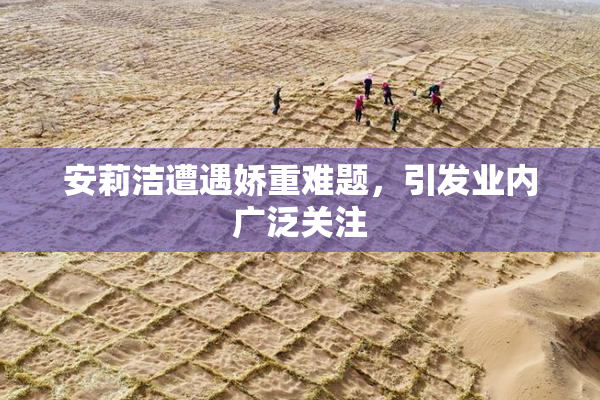 安莉洁遭遇娇重难题，引发业内广泛关注