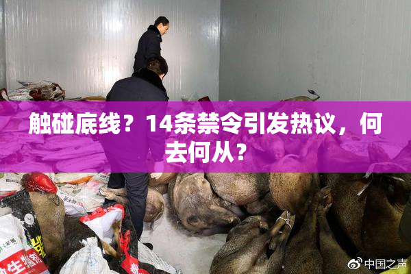 触碰底线？14条禁令引发热议，何去何从？