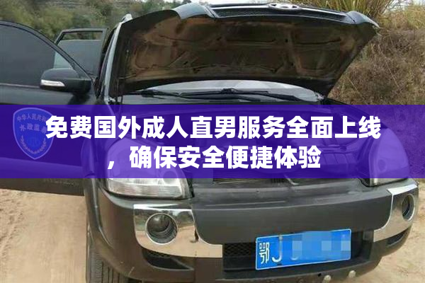 免费国外成人直男服务全面上线，确保安全便捷体验