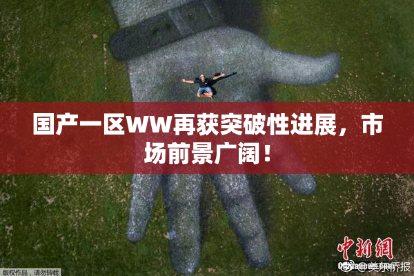 国产一区WW再获突破性进展，市场前景广阔！
