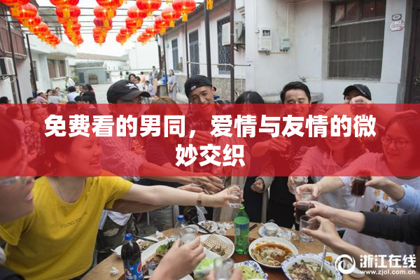 免费看的男同，爱情与友情的微妙交织