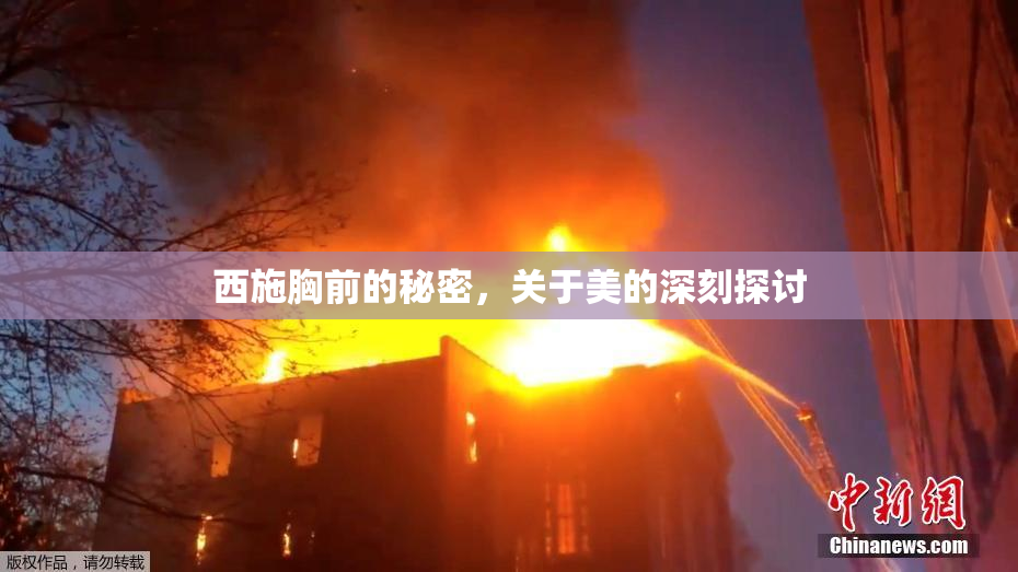 西施胸前的秘密，关于美的深刻探讨