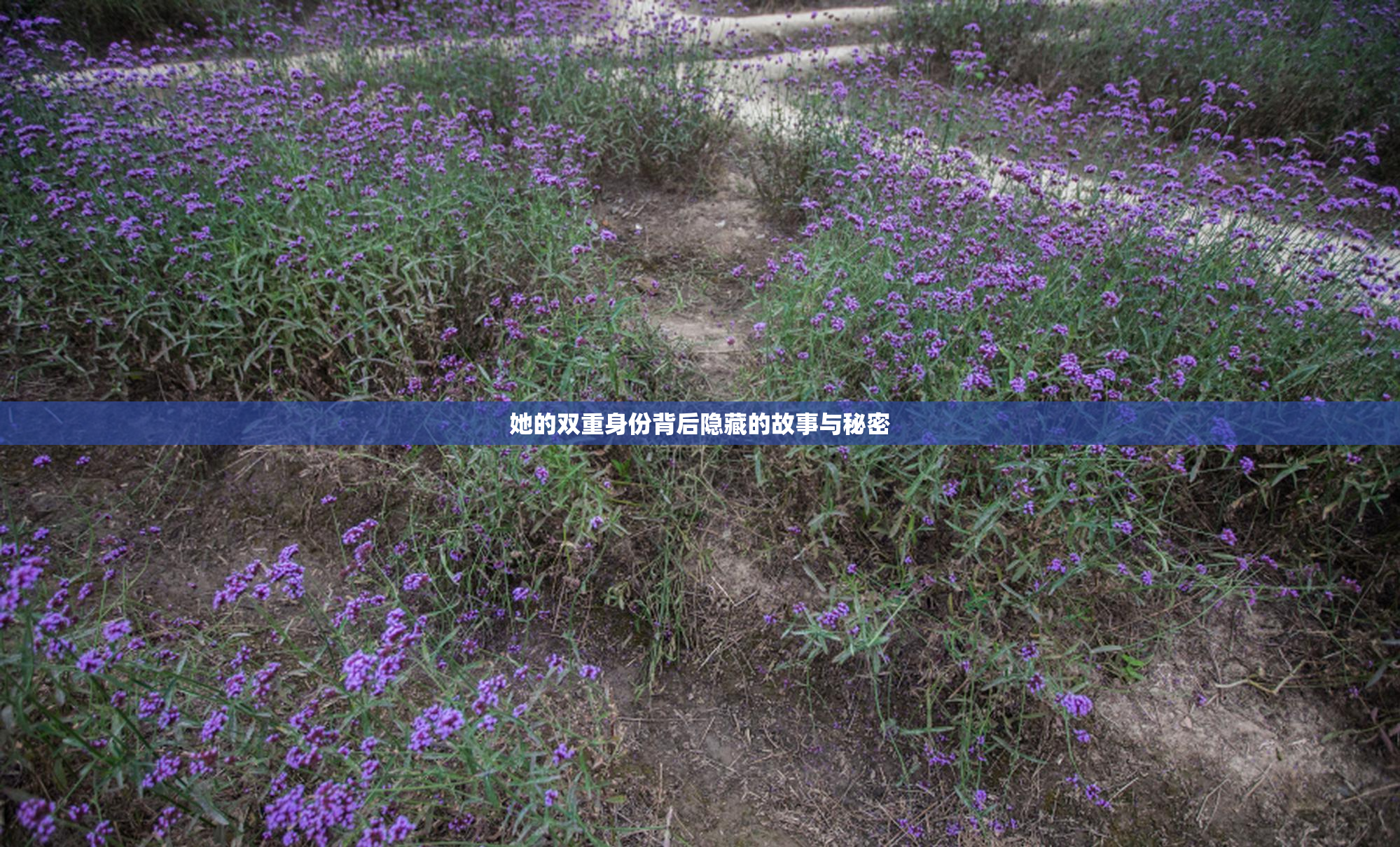 她的双重身份背后隐藏的故事与秘密