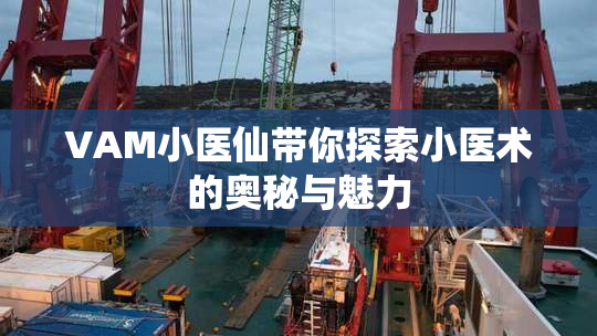 VAM小医仙带你探索小医术的奥秘与魅力