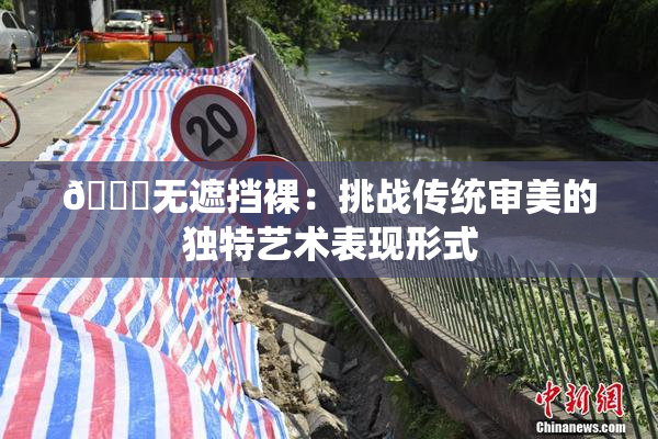 🔞无遮挡裸：挑战传统审美的独特艺术表现形式
