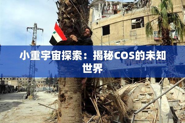 小重宇宙探索：揭秘COS的未知世界