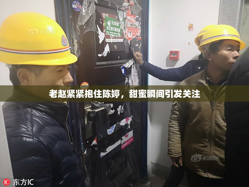 老赵紧紧抱住陈婷，甜蜜瞬间引发关注