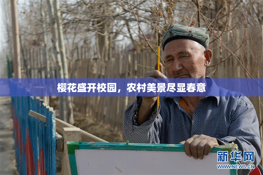 樱花盛开校园，农村美景尽显春意