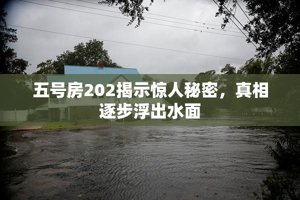 五号房202揭示惊人秘密，真相逐步浮出水面
