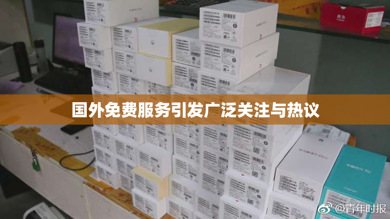 国外免费服务引发广泛关注与热议