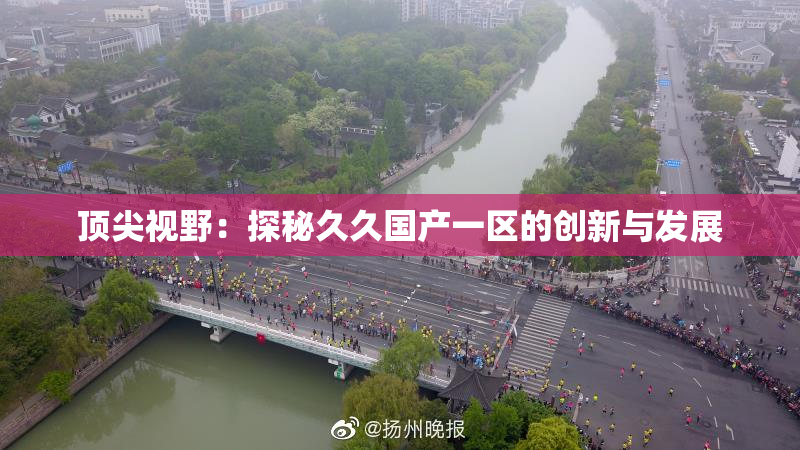 顶尖视野：探秘久久国产一区的创新与发展