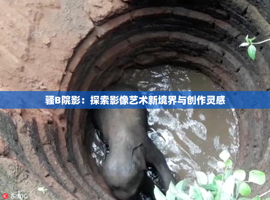 骚B院影：探索影像艺术新境界与创作灵感