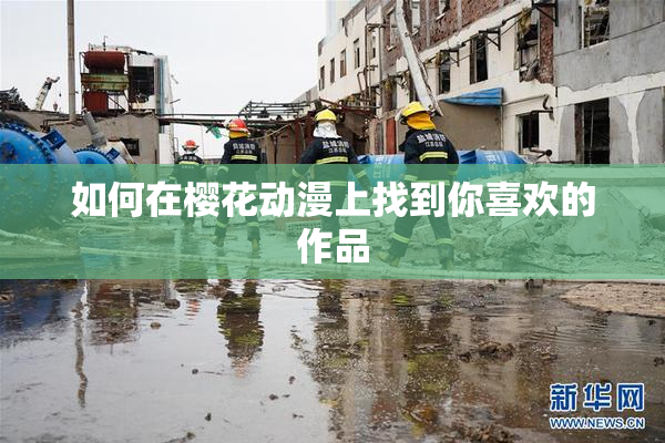 如何在樱花动漫上找到你喜欢的作品