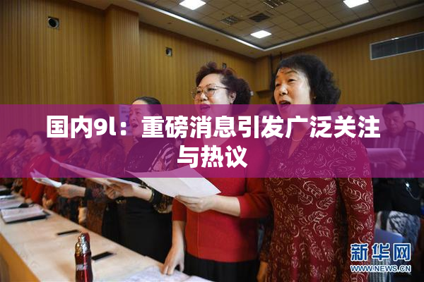 国内9l：重磅消息引发广泛关注与热议