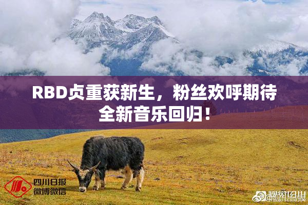 RBD贞重获新生，粉丝欢呼期待全新音乐回归！