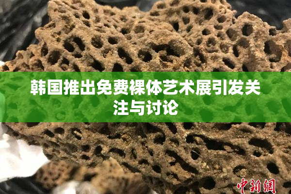 韩国推出免费裸体艺术展引发关注与讨论