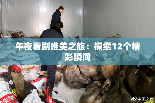 午夜看剧唯美之旅：探索12个精彩瞬间