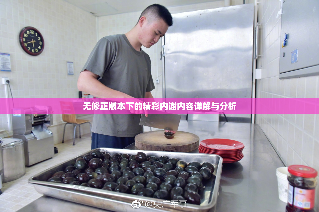 无修正版本下的精彩内谢内容详解与分析