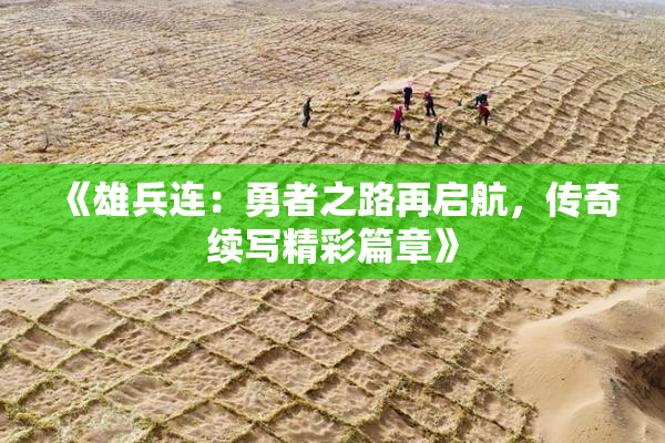 《雄兵连：勇者之路再启航，传奇续写精彩篇章》