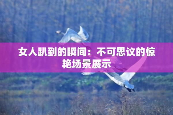 女人趴到的瞬间：不可思议的惊艳场景展示