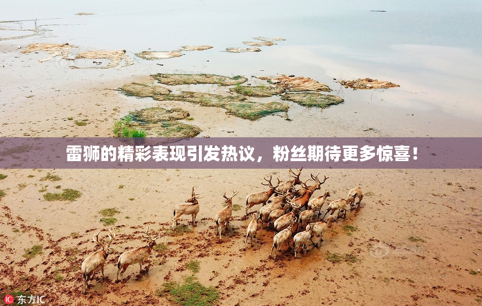 雷狮的精彩表现引发热议，粉丝期待更多惊喜！