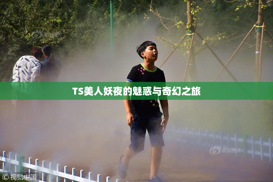 TS美人妖夜的魅惑与奇幻之旅