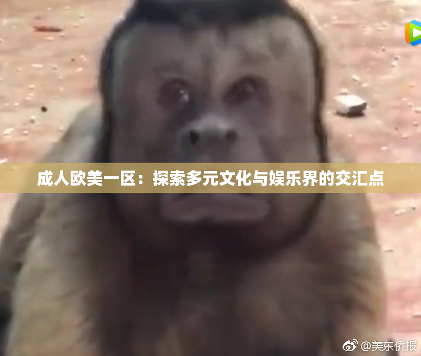 成人欧美一区：探索多元文化与娱乐界的交汇点