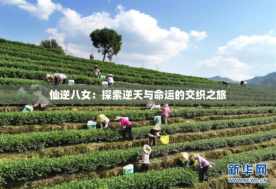 仙逆八女：探索逆天与命运的交织之旅