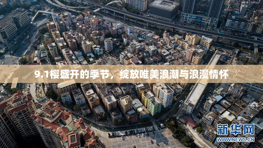 9.1樱盛开的季节，绽放唯美浪潮与浪漫情怀