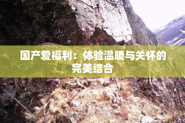 国产爱福利：体验温暖与关怀的完美结合