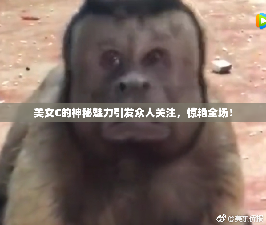 美女C的神秘魅力引发众人关注，惊艳全场！