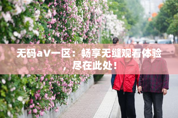 无码aV一区：畅享无缝观看体验，尽在此处！