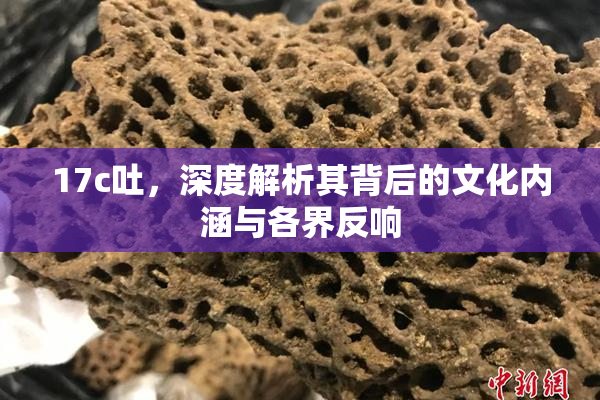 17c吐，深度解析其背后的文化内涵与各界反响