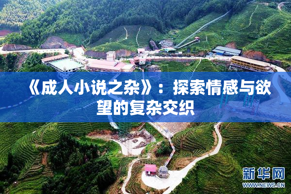 《成人小说之杂》：探索情感与欲望的复杂交织
