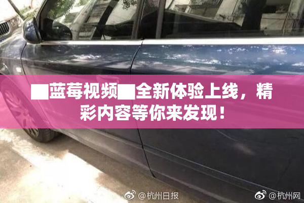 ▇蓝莓视频▇全新体验上线，精彩内容等你来发现！