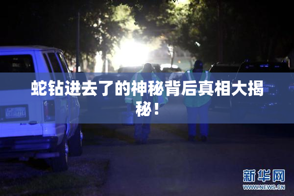 蛇钻进去了的神秘背后真相大揭秘！