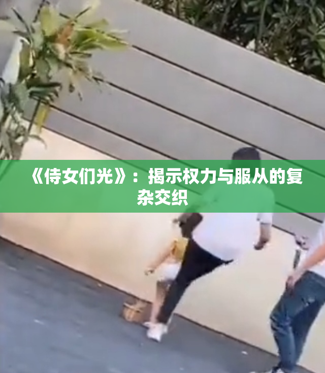 《侍女们光》：揭示权力与服从的复杂交织