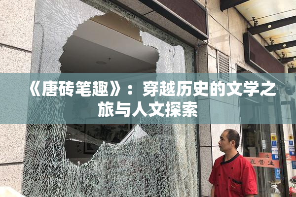 《唐砖笔趣》：穿越历史的文学之旅与人文探索