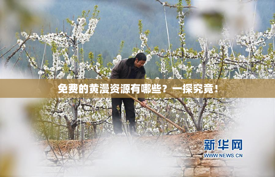 免费的黄漫资源有哪些？一探究竟！