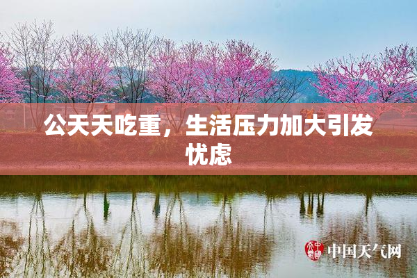 公天天吃重，生活压力加大引发忧虑